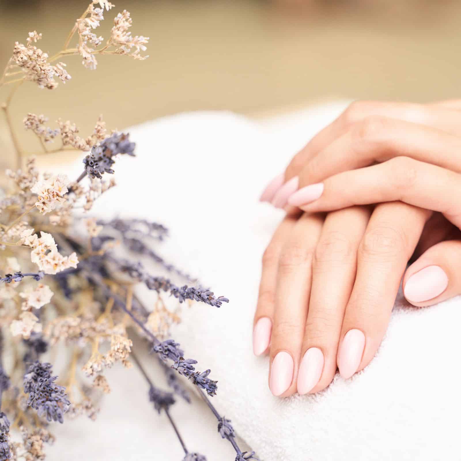 Gel-Lack La Beauté Graz